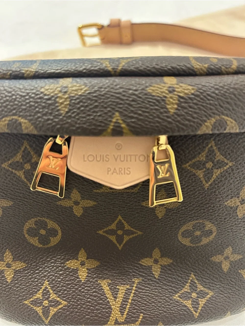 Louis Vuitton Monogram Canvas Crossbody Belt Bag in Brown
